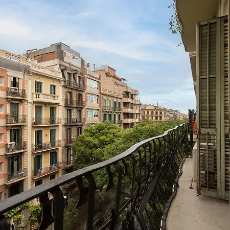 Mid Term Cozy * Barcelone